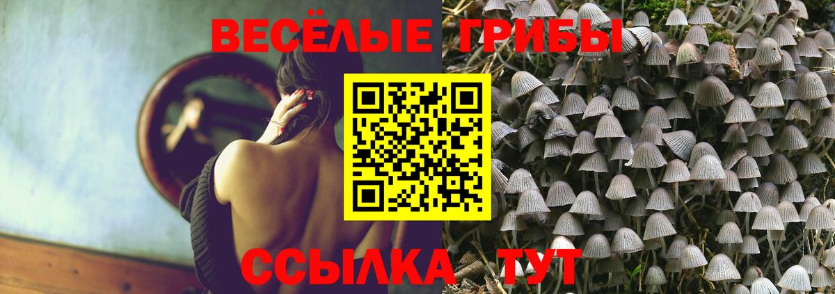 Псилоцибиновые грибы мухоморы Отрадное